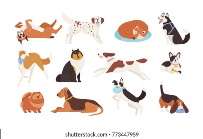 Collection of funny dogs of various breeds playing, sleeping, lying, sitting. Set of cute and amusing cartoon pet animals isolated on white background. Colorful vector illustration in flat style.