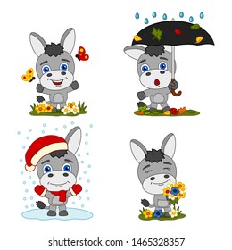 Collection of funny donkey in different seasons - summer, autumn, winter, spring - isolated on white background