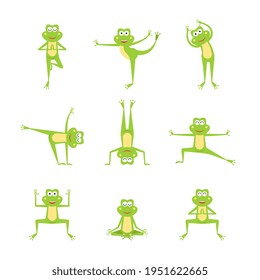 Collection funny frog  practicing yoga position. Animal sport.