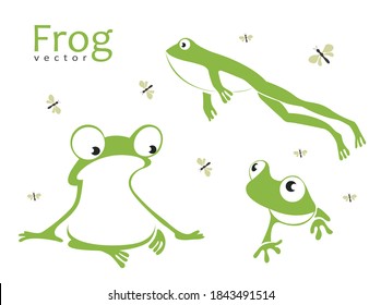 Collection of funny frogs, dragonflies. Amfia sits, jumps, sneaks.