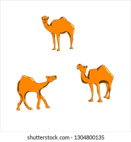 Collection. Funny little camel. It is standing. The camel has a beautiful smile. Set of vector illustrations