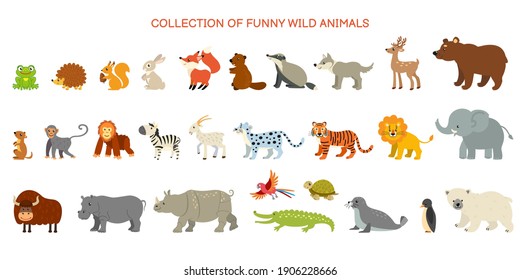 Collection of funny wild animals. Zoo. Animals of tropical countries, North America and the Arctic.