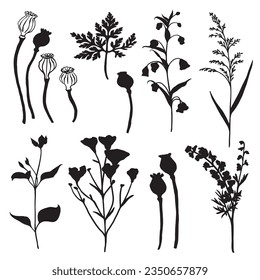 Collection of garden flowers, spikelets, buds black and white graphics drawing isolated on a white background. Decorative floral design black white silhouette for wedding invitations, exhibition, fest