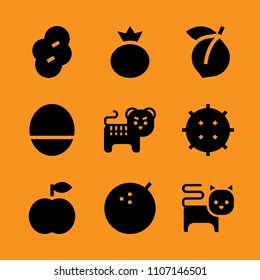 collection, garden, smoothie and wild icon set. Vector illustration for web and design.