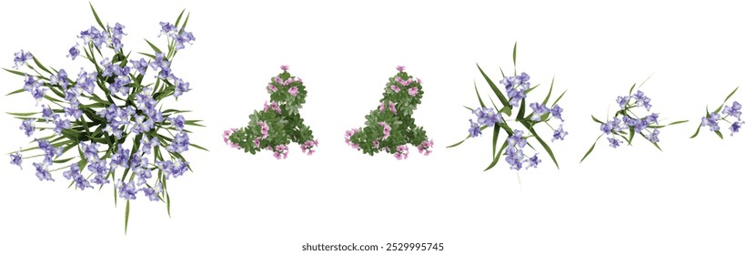 Collection of Garden tree-mallow,dwarf iris flower plants with transparent background from the top view