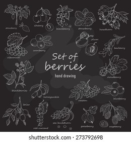 Collection garden   wild berries in sketch style dark background  Vector illustration for your design