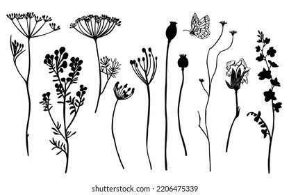 Collection of garden and wild herbs vector line art. Autumn herbarium with poppy buds, dill flowers, mimosa, carnation, blade of grass and butterfly silhouette black white isolated.