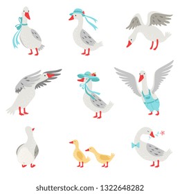 Collection of Geese and Goslings in Different Situations, White Birds Cartoon Characters Vector Illustration