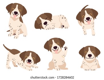 The collection of German Shorthaired Pointer in many action. Graphic resource about set of dogs German Shorthaired Pointer for graphic, content, etc. 