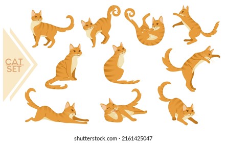 Collection of Ginger cat cartoon standing on the ground cartoon animal design vector illustration isolated on white background