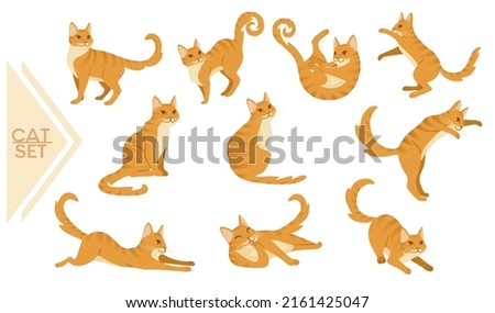 Collection of Ginger cat cartoon standing on the ground cartoon animal design vector illustration isolated on white background