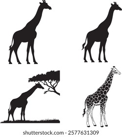 Collection of Giraffe Silhouette Vector for Unique Art Projects