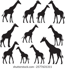 Collection of Giraffe Silhouette Vector for Unique Art Projects