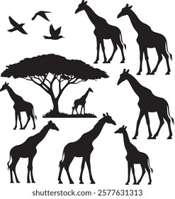 Collection of Giraffe Silhouette Vector for Unique Art Projects