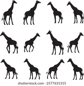 Collection of Giraffe Silhouette Vector for Unique Art Projects