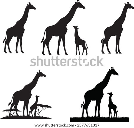 Collection of Giraffe Silhouette Vector for Unique Art Projects