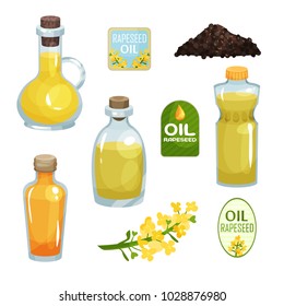 Collection of glass and plastic bottles filled with natural rapeseed oil, emblems for products, herb with small yellow flowers and heap of seeds. Flat vector icons