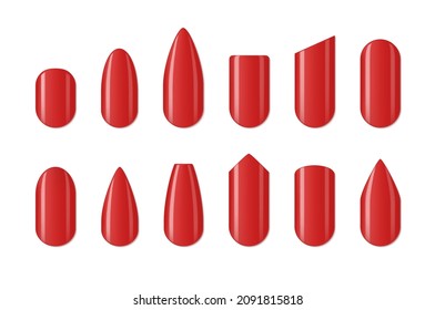 Collection glossy realistic nail different shape vector illustration. Set manicured nails decorative design isolated. Manicure form oval, almond, ballerina, rounded, square, squoval, stiletto, edge