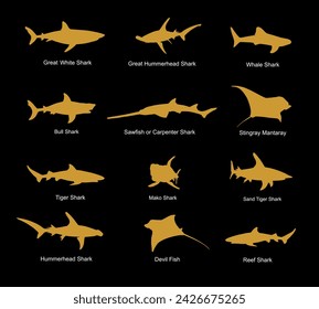 Collection of gold shark set vector silhouette illustration isolated. Great white, bull shark, devil ray, hammerhead, stingray, manta ray, reef shark, whale shark, saw fish. Predator fish sea, ocean.