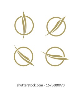 collection gold swoosh circle logo icon design vector illustration