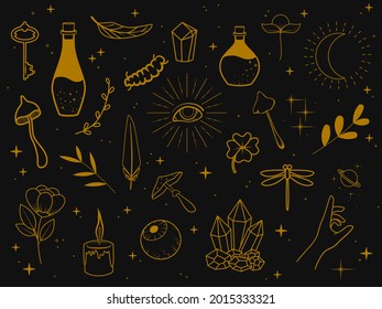 Collection of golden magic items on a dark background. Feathers, plants, eyes, stars, poison bottles, mushrooms, candle, insects, etc. Vector illustration