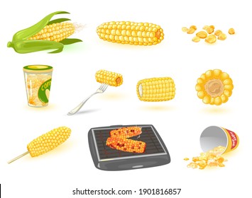 Collection of golden maize harvest, popcorn, sweet corn, delicious vegetable. Vector agriculture meal, fried and boiled product, vegetarianism, nutrition idea isolated on white background