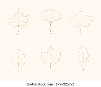 Collection of golden maple, oak, elm, aspen, hop and ginkgo biloba leaves. Vector isolated gold fallen leaf outlines.