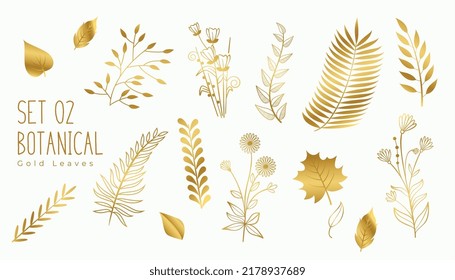 collection of golden premium leaves elements