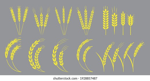 Collection with golden spikelets. Vector icon. Nature illustration. Stock image. EPS 10.