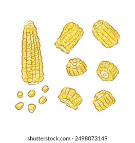 Collection of golden yellow corn