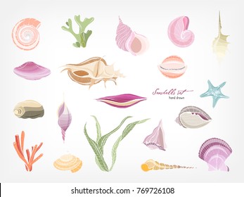 Colección de preciosas conchas, corales y algas, aisladas en fondo blanco. Conjunto de conchas de moluscos marinos. Flora y fauna del mar y del océano. Ilustración vectorial colorida.