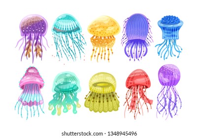 Collection of gorgeous marine animals - jellyfish isolated on white background. Bundle of or sea jellies of various types. Ocean fauna, aquatic creatures. Flat cartoon colorful vector illustration.