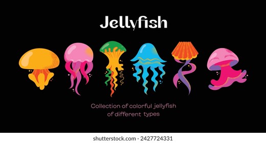 Collection of gorgeous marine animals jellyfish isolated on black background. Bundle sea jellies medusa of various types. Ocean fauna, aquatic creatures. Flat cartoon colorful vector illustration.