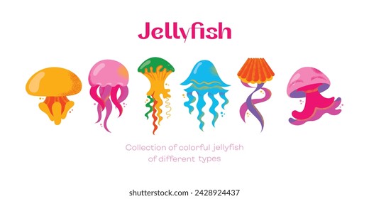 Collection of gorgeous marine animals jellyfish isolated on white background. Bundle sea jellies medusa of various types. Ocean fauna, aquatic creatures. Flat cartoon colorful vector illustration.