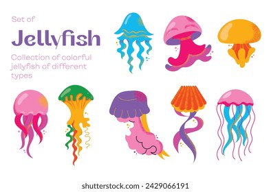 Collection of gorgeous marine animals jellyfish isolated on white background. Bundle sea jellies medusa of various types. Ocean fauna, aquatic creatures. Flat cartoon colorful vector illustration.