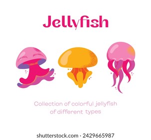 Collection of gorgeous marine animals jellyfish isolated on white background. Bundle sea jellies medusa of various types. Ocean fauna, aquatic creatures. Flat cartoon colorful vector illustration.