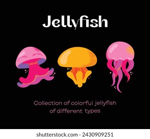 Collection of gorgeous marine animals jellyfish isolated on black background. Bundle sea jellies medusa of various types. Ocean fauna, aquatic creatures. Flat cartoon colorful vector illustration.