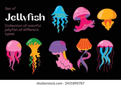 Collection of gorgeous marine animals jellyfish isolated on black background. Bundle sea jellies medusa of various types. Ocean fauna, aquatic creatures. Flat cartoon colorful vector illustration.