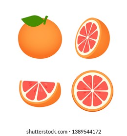 collection of Grapefruit, fruit pattern vector illustration sketch isolated on white background