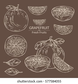 Collection Of Grapefruit And Grapefruit Slice. Hand Drawn.