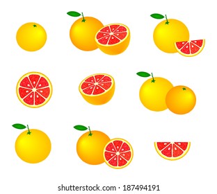 Collection of grapefruits, isolated on white background, vector illustration.