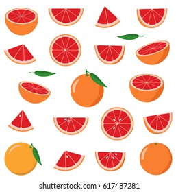 Collection of grapefruits. Vector illustration.