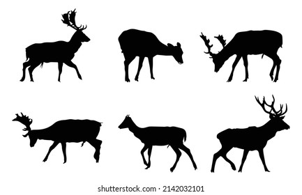 Collection of Graphic black silhouettes of wild deers  male, female and roe deer.