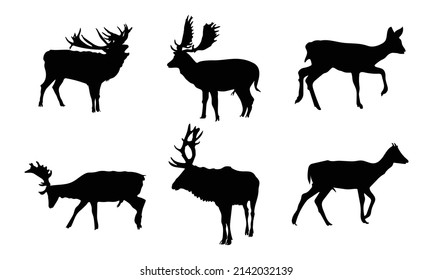 Collection of Graphic black silhouettes of wild deers  male, female and roe deer.