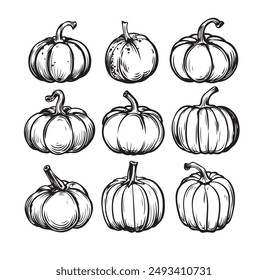 Colección de calabazas de tinta dibujadas a mano para su diseño