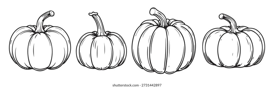 colección de calabazas de tinta dibujadas a mano gráficas para su diseño