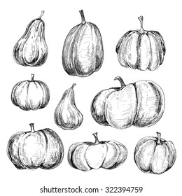 Collection of graphic hand drawn ink pumkins for your design