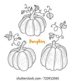 Collection of graphic hand drawn pumpkins for your design.