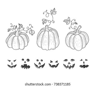 Collection of graphic hand drawn pumpkins for your design