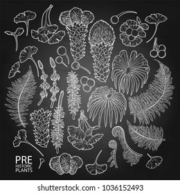 Collection of graphic prehistoric plants isolated on the chalkboard